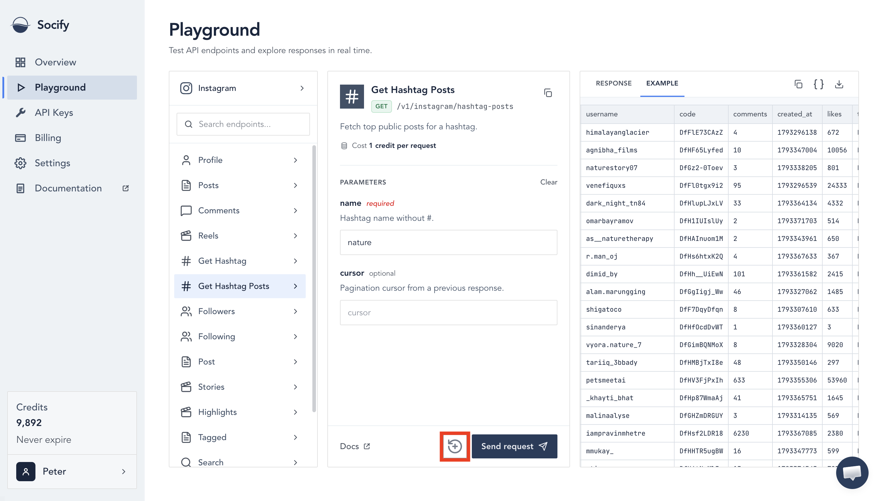 Response panel in the playground with pagination control called out